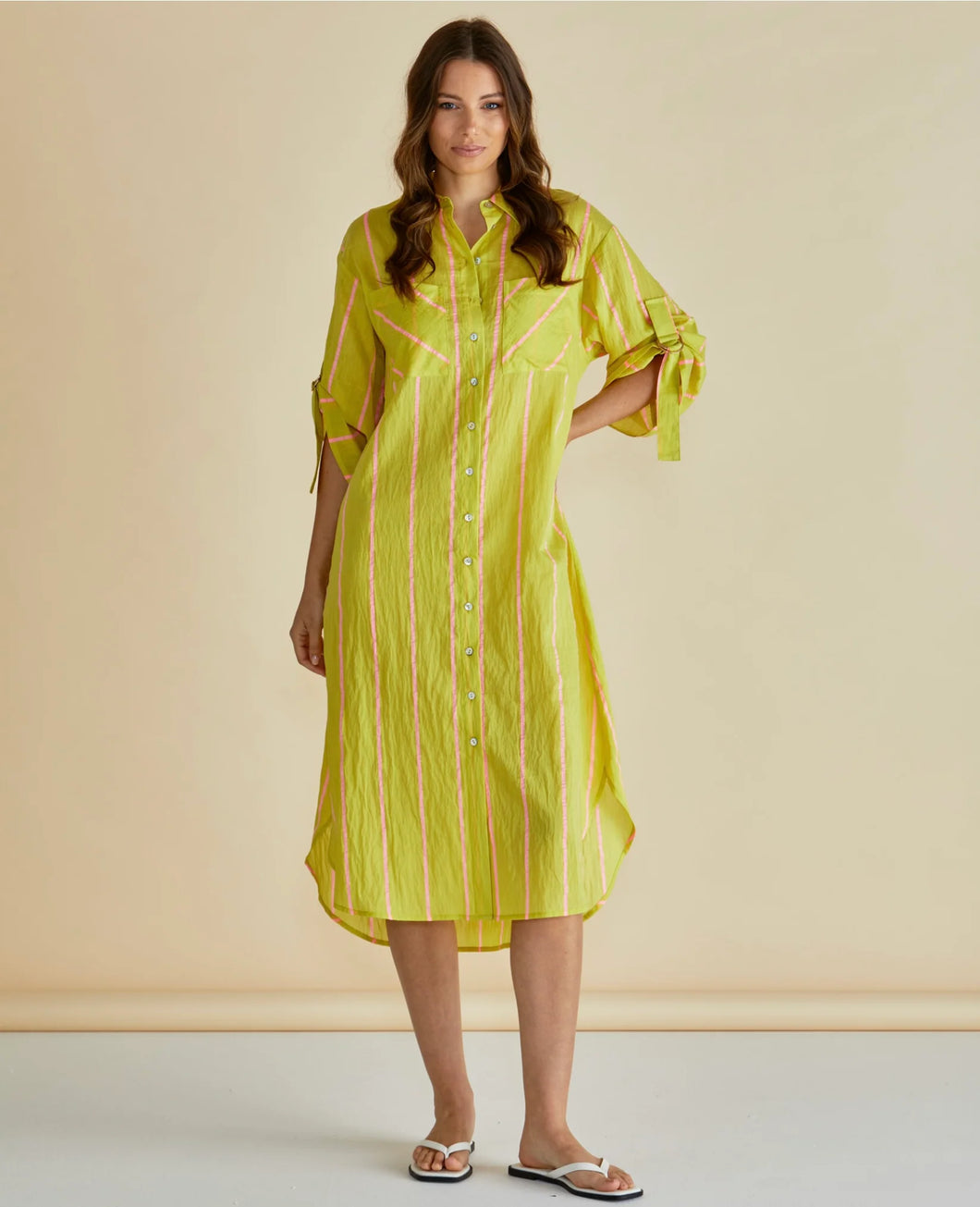 Betty Basics Hayman Shirt Dress Yellow/Pink Stripe