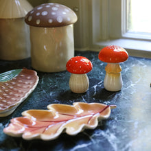 Load image into Gallery viewer, &amp;k Amsterdam Salt &amp; Pepper Shakers Mushroom
