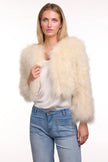 365 Days Feather Bolero Chalk