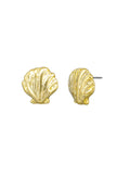 Tiger Tree Gold Marine Scallop Earrings