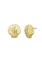 Load image into Gallery viewer, Tiger Tree Gold Marine Scallop Earrings
