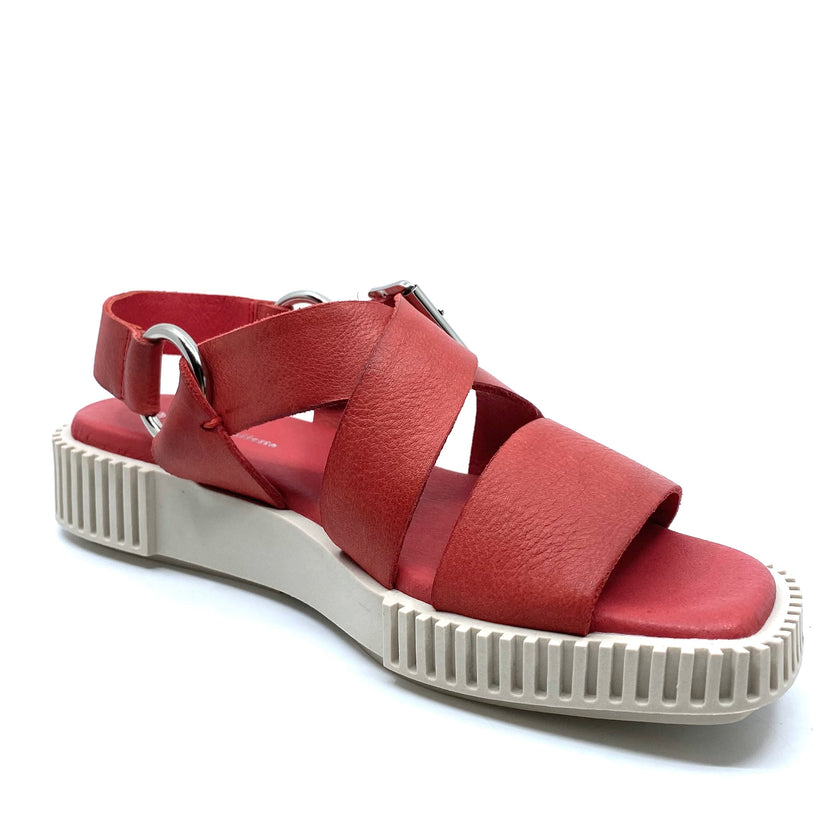 Django & Juliette Irying Red/Almond