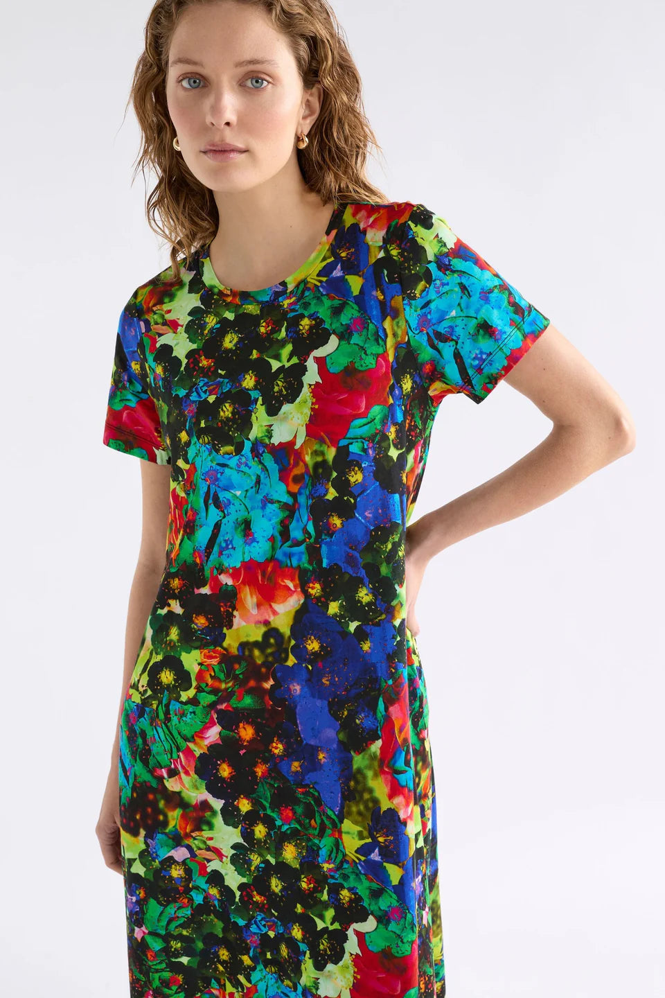 Elk Holst Tshirt Dress Apelle Print