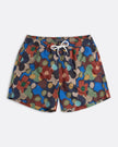 Far Afield Printed Swim Shorts Yami Floral Red Multi
