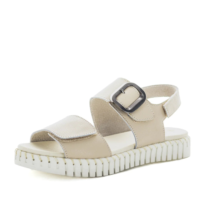 Just Bee Canella Beige