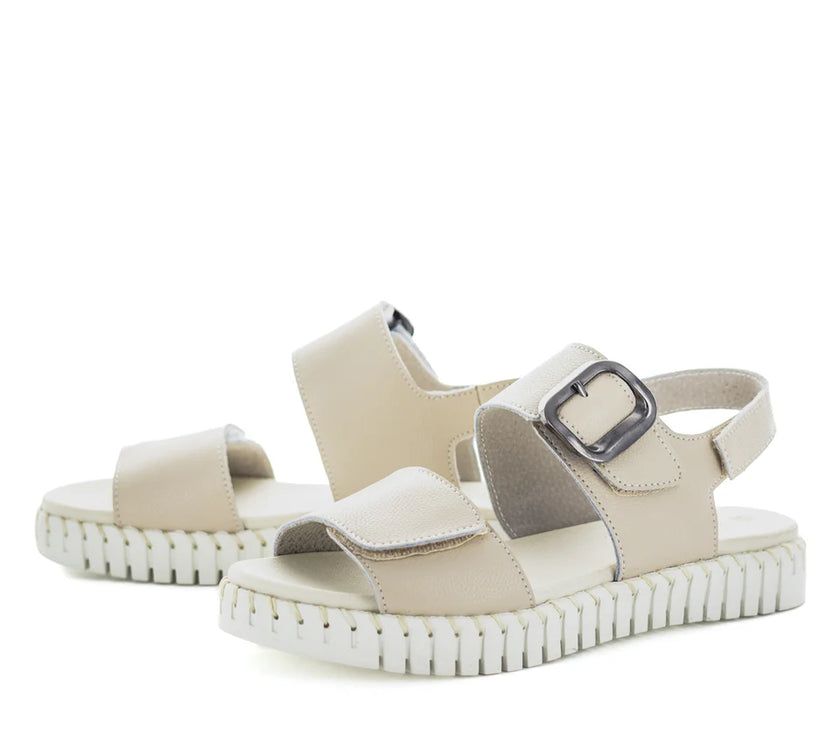 Just Bee Canella Beige