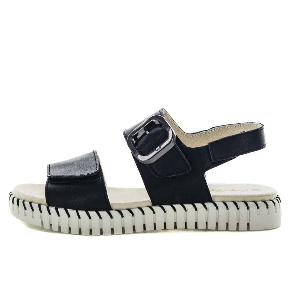 Just Bee Canella Black