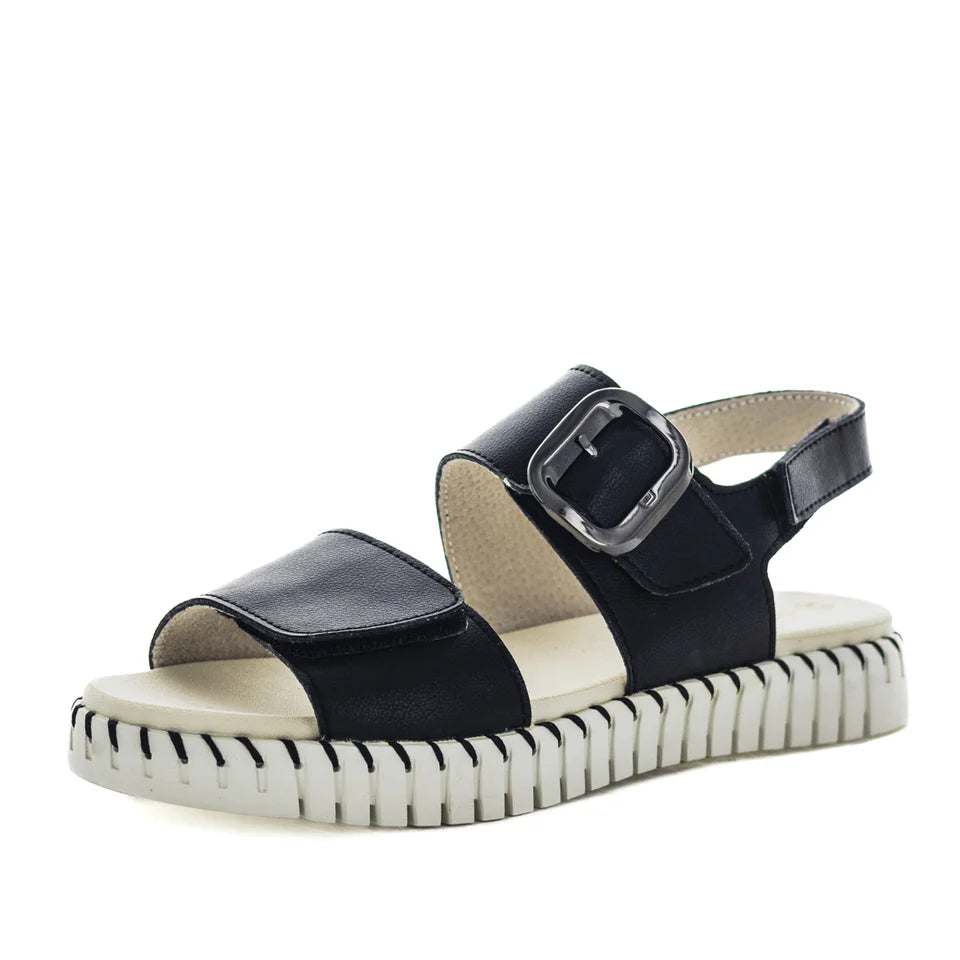 Just Bee Canella Black