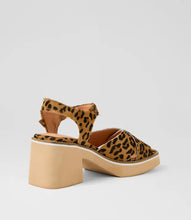 Load image into Gallery viewer, Django &amp; Juliette Jemi Tan Leopard Pony
