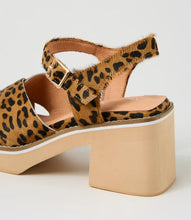Load image into Gallery viewer, Django &amp; Juliette Jemi Tan Leopard Pony
