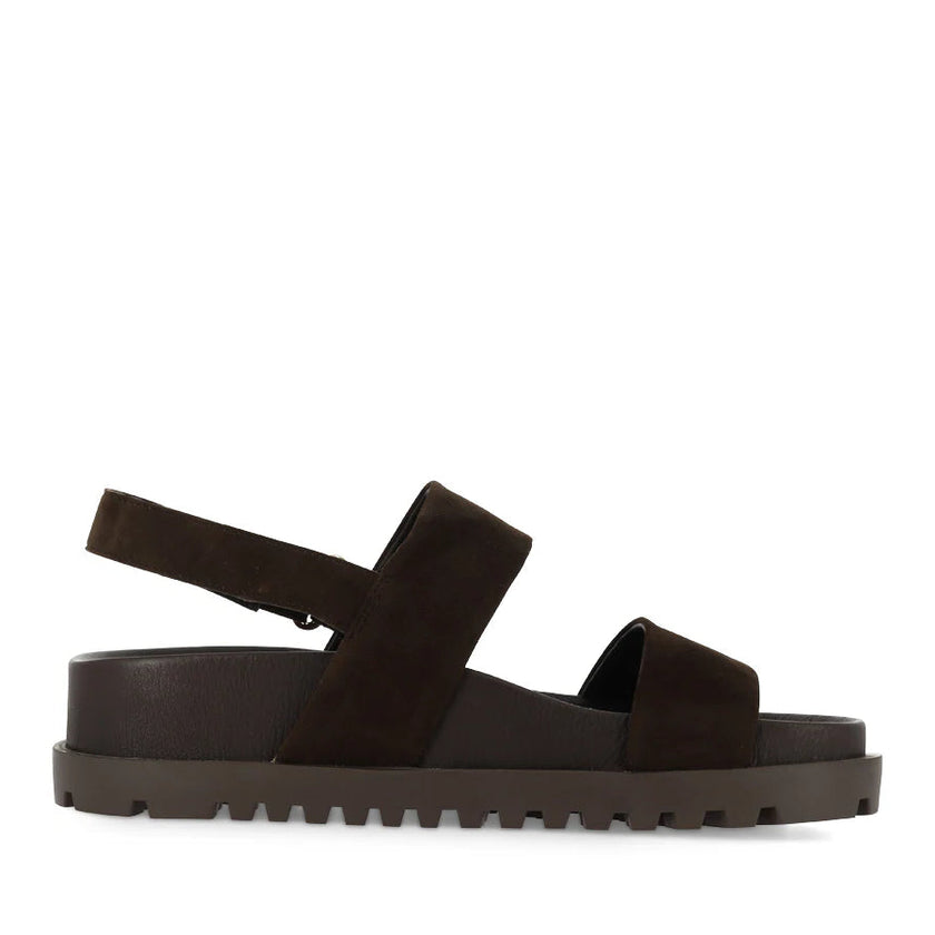 Django & Juliette Unaid Choc/ Choc Sole Suede