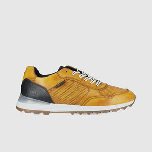 Wild Rhino Harlem Yellow