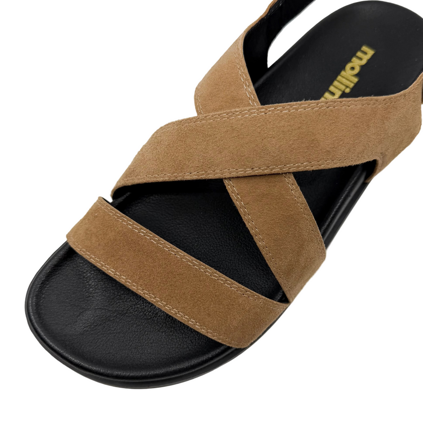 Mollini Halleya Coffee Suede/ Black Sole Sandals