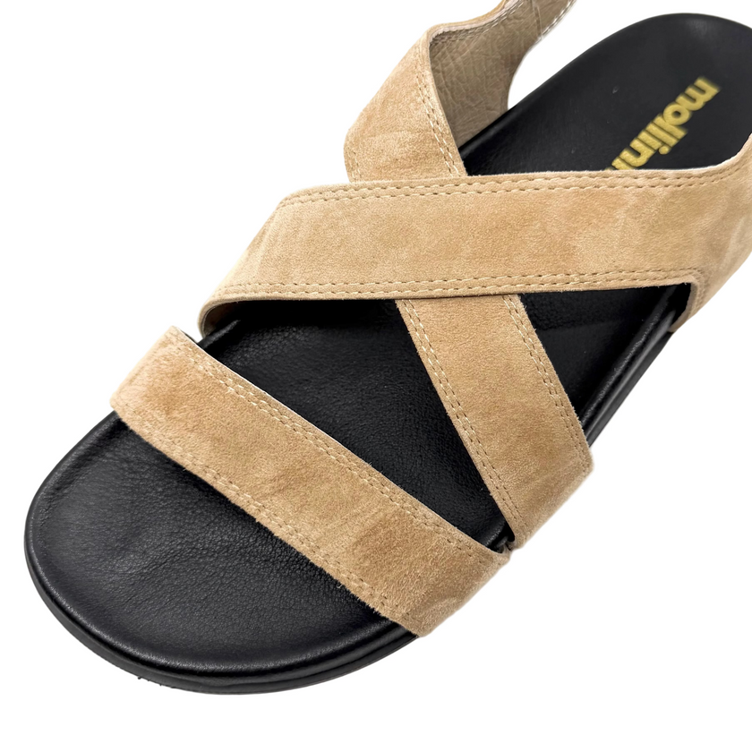 Mollini Halleya Camel Suede/ Black Sole Sandals