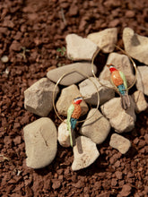 Load image into Gallery viewer, Nach African Bee Eater Hoop Earrings
