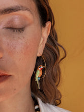Load image into Gallery viewer, Nach African Bee Eater Hoop Earrings
