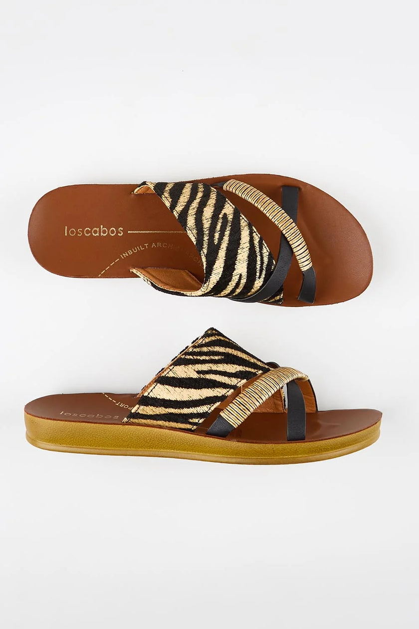 Los Cabos Bride Slides Zebra