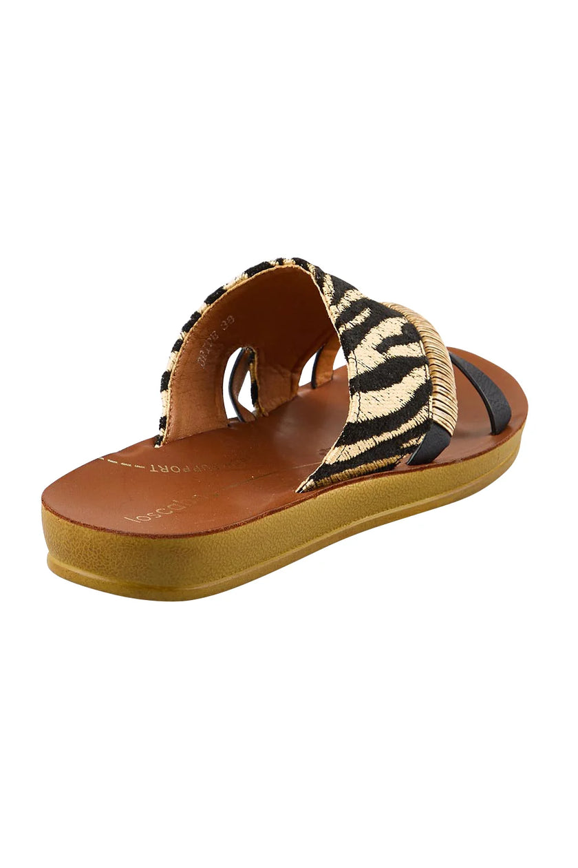 Los Cabos Bride Slides Zebra