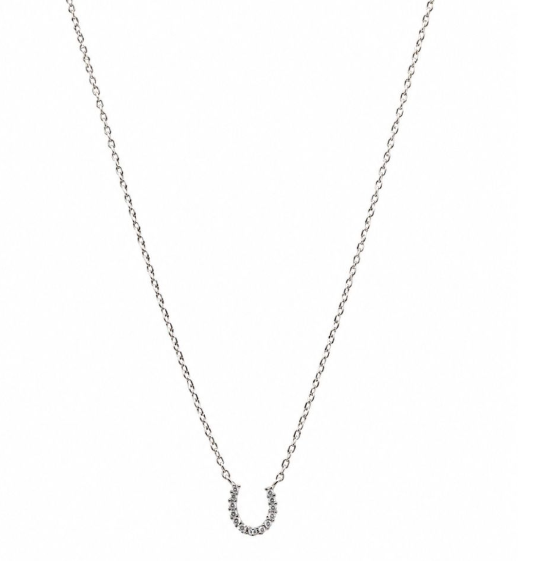 Tiger Tree Silver Lucky Charm Necklace