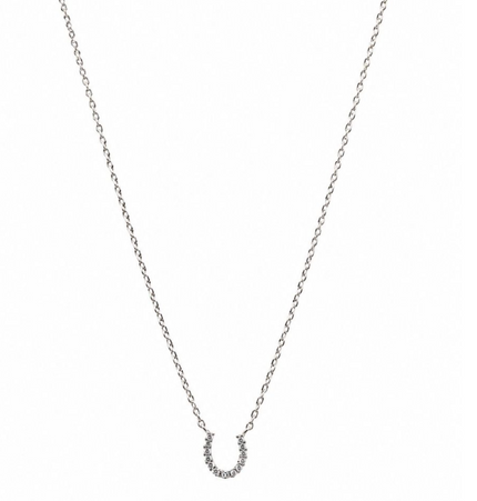 Tiger Tree Silver Lucky Charm Necklace