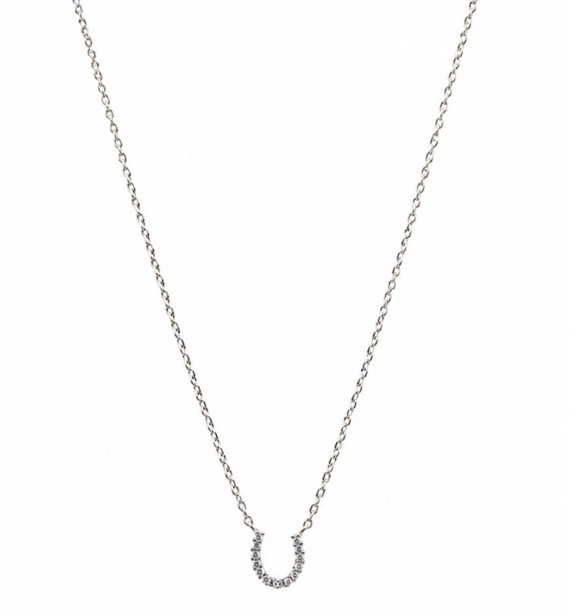 Tiger Tree Silver Lucky Charm Necklace