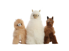 Load image into Gallery viewer, Auskin Gift Huacaya Alpaca 20cm
