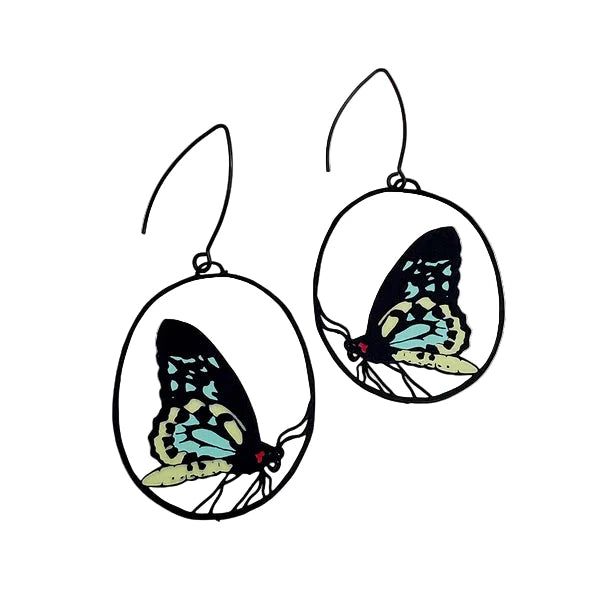 DENZ Midi Cairns Birdwing Butterfly Earrings