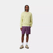Carhartt WIP Chase Swim Trunks Huckleberry