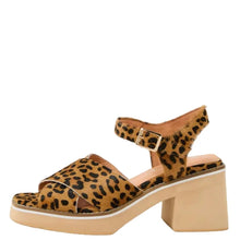 Load image into Gallery viewer, Django &amp; Juliette Jemi Tan Leopard Pony
