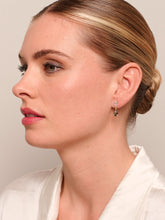 Load image into Gallery viewer, Tiger Tree Smoky Crystal Teardrop Earrings
