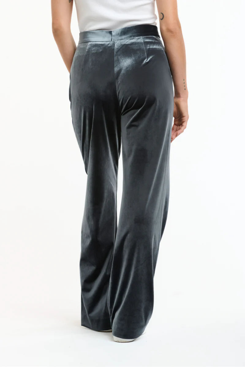 Italian Star Jets Velvet Pant Grey