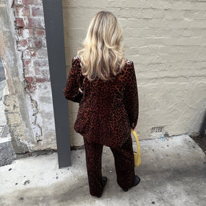 Italian Star Jets Velvet Pant Leopard