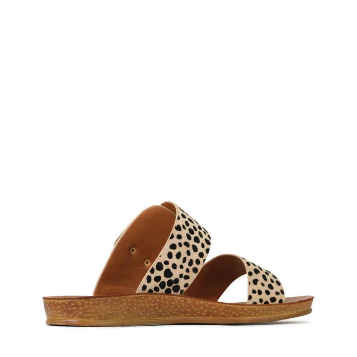 Los Cabos Doti Slides Cheetah