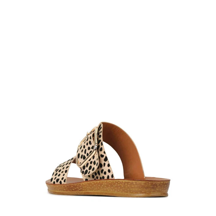 Los Cabos Doti Slides Cheetah