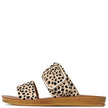 Los Cabos Doti Slides Cheetah