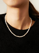 Load image into Gallery viewer, Lustre &amp; Sage Freshwater Pearl Gold Plated Choker
