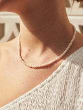 Load image into Gallery viewer, Lustre &amp; Sage Freshwater Pearl Gold Plated Choker
